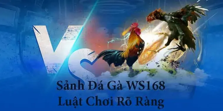 Tận Hưởng Trải Nghiệm Đá Gà WS168 Đỉnh Cao Tại W88 Uy Tín 2 Tận Hưởng Trải Nghiệm Đá Gà WS168 Đỉnh Cao Tại W88 Uy Tín
